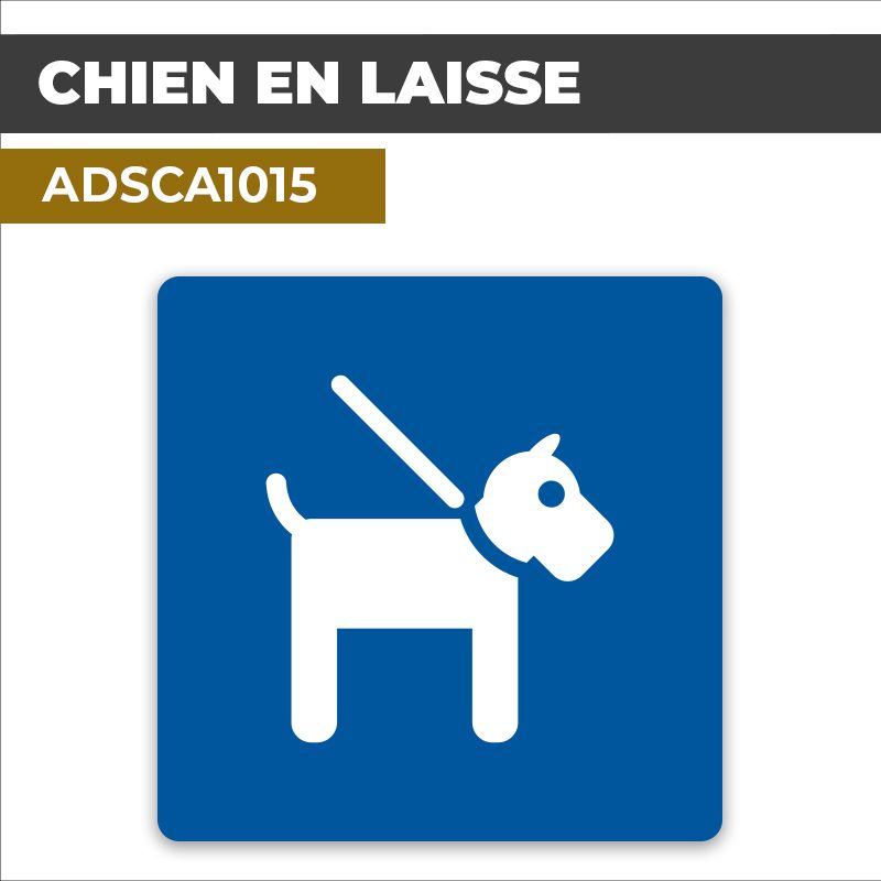 Autocollant CHIEN EN LAISSE l Comportements à respecter