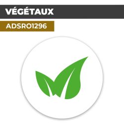 Autocollant | VEGETAUX Vert | Format Rond